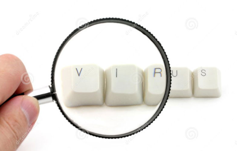 57436955