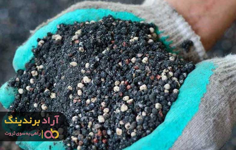 کود فسفر بالا برای گیاهان آپارتمانی و برنج چه خواص و کاربردهایی دارد؟