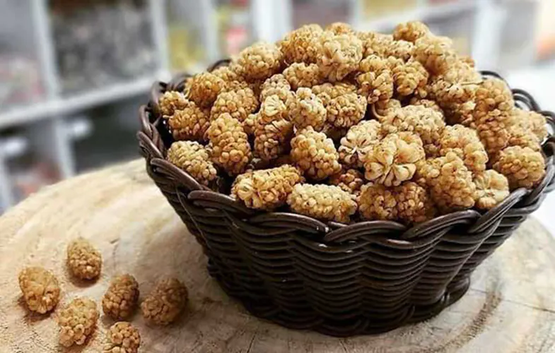 Dried Mulberry 1