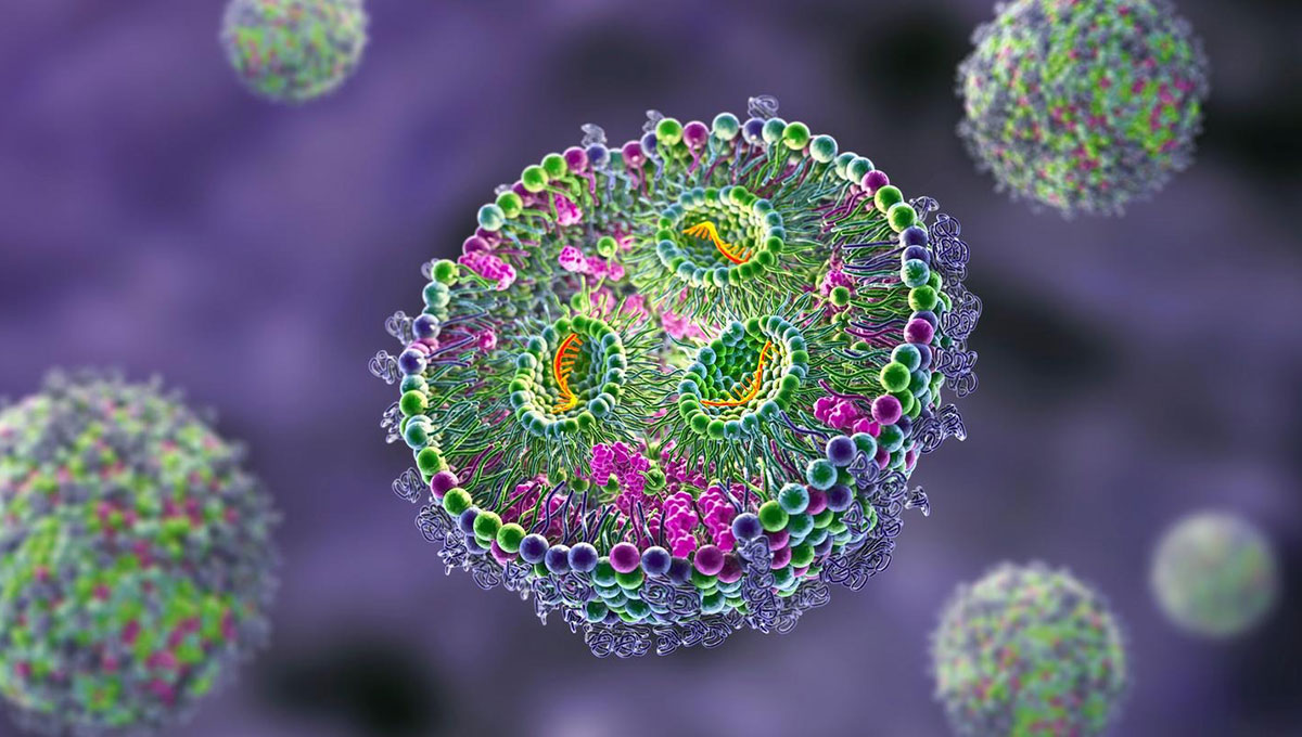 مهندسی mRNA بدن شما را به یک کارخانه تولید دارو تبدیل می کند 1 image 2